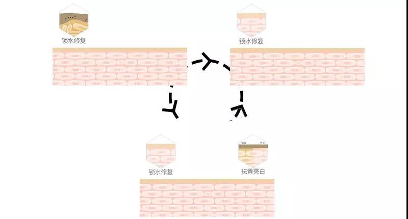 大发welcome(中国)首页官网登录