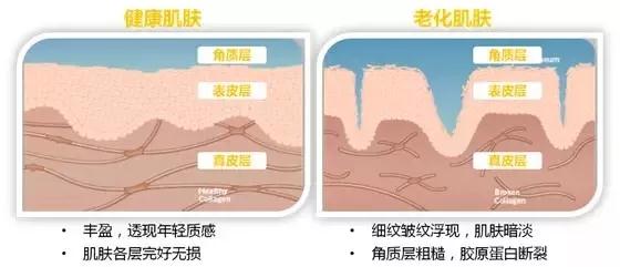 大发welcome(中国)首页官网登录